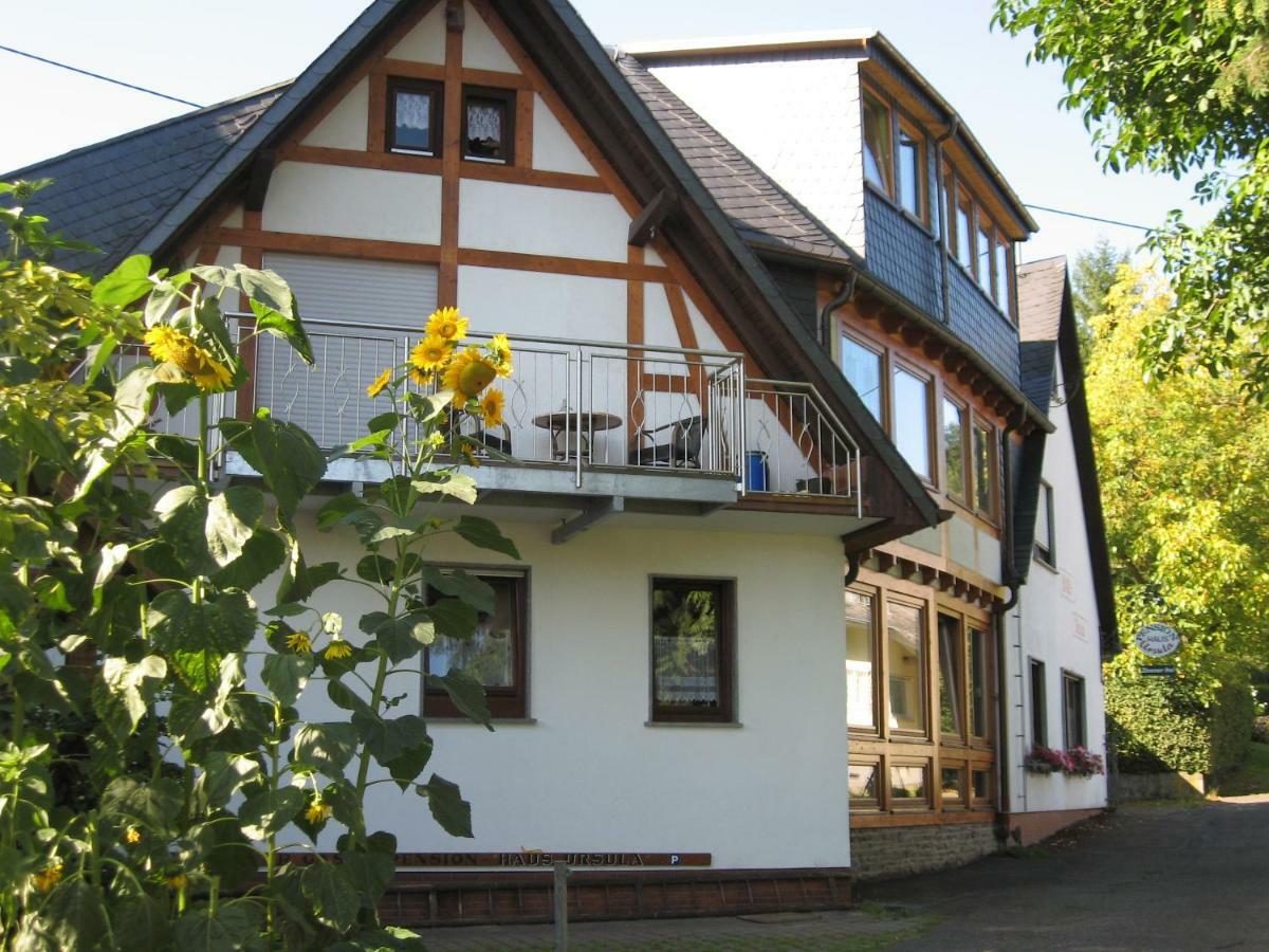 Pension Haus Ursula Кобленц Экстерьер фото